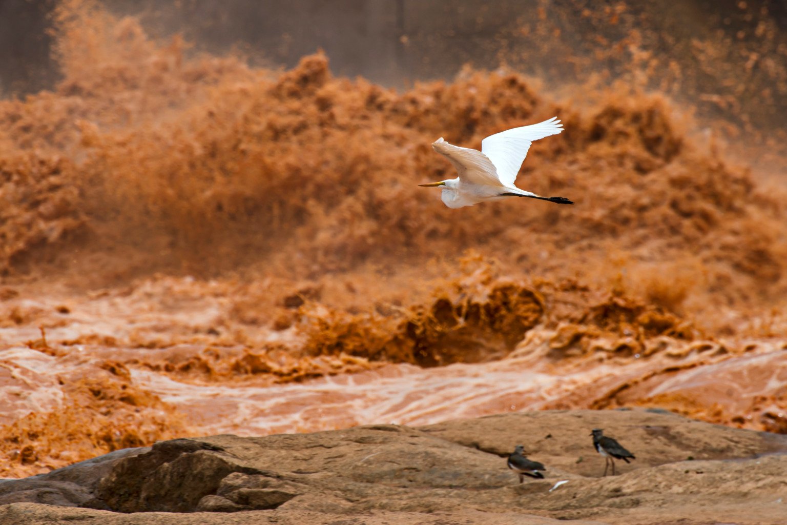 10 anos da tragédia no Rio Doce. Por Leonardo Merçon/ Instituto Últimos Refúgios 10 anos da tragédia no Rio Doce. Por Leonardo Merçon/ Instituto Últimos Refúgios