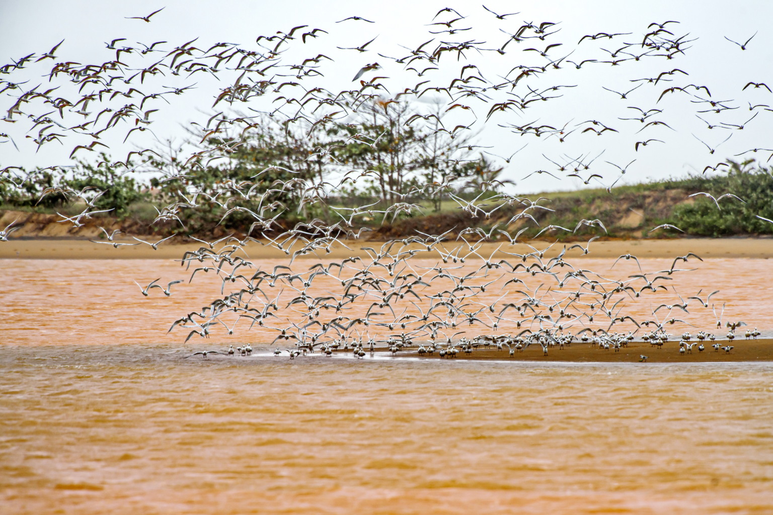 10 anos da tragédia no Rio Doce. Por Leonardo Merçon/ Instituto Últimos Refúgios 10 anos da tragédia no Rio Doce. Por Leonardo Merçon/ Instituto Últimos Refúgios