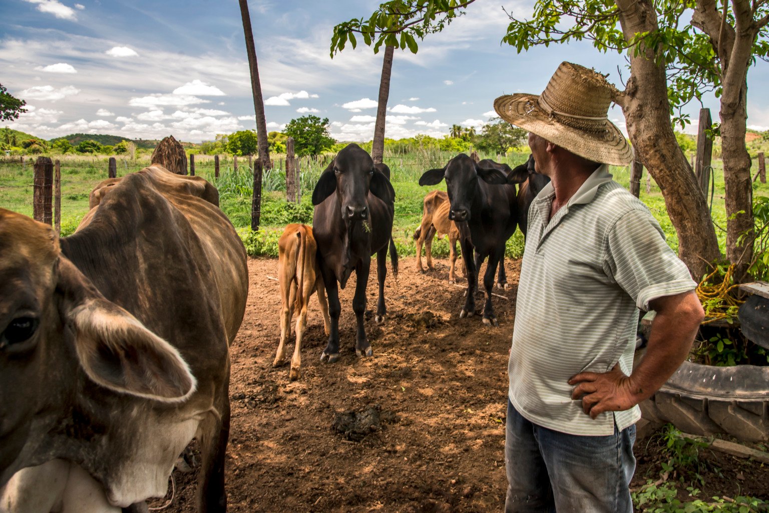O Instituto Últimos Refúgios é uma instituição sem fins lucrativos, que visa à sensibilização ambiental através de imagens. "As pessoas só protegem o que sabem que existe!" O Instituto Últimos Refúgios é uma instituição sem fins lucrativos, que visa à sensibilização ambiental através de imagens. "As pessoas só protegem o que sabem que existe!"