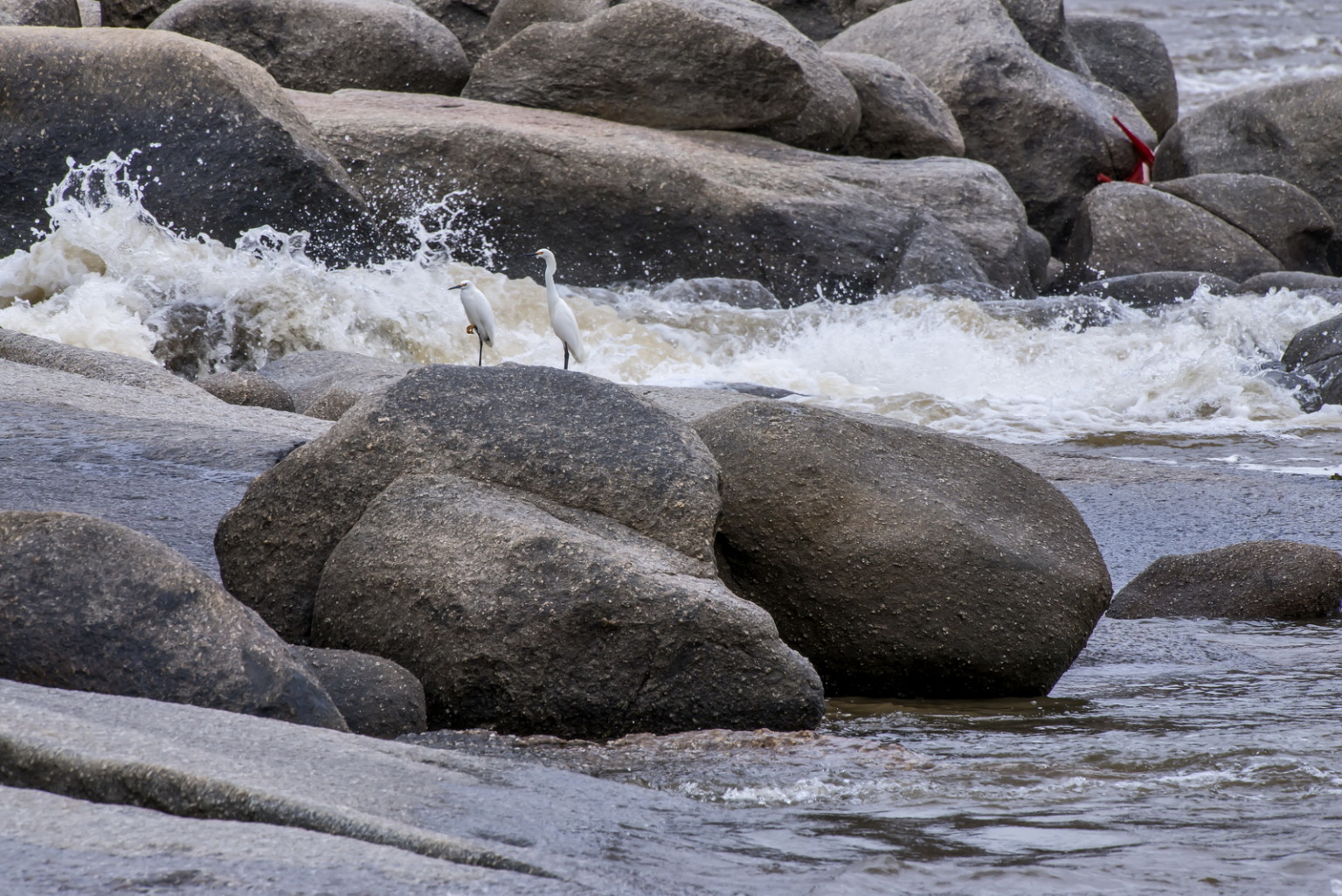 10 anos da tragédia no Rio Doce. Por Leonardo Merçon/ Instituto Últimos Refúgios 10 anos da tragédia no Rio Doce. Por Leonardo Merçon/ Instituto Últimos Refúgios