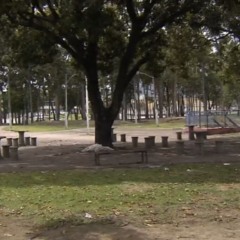 Foto: Reprodução/TV Vitória