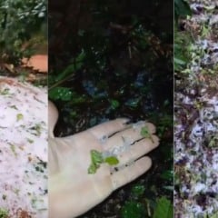 Temporal e chuva de granizo destroem lavouras em Muniz Freire