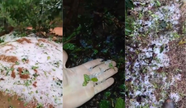 Temporal e chuva de granizo destroem lavouras em Muniz Freire