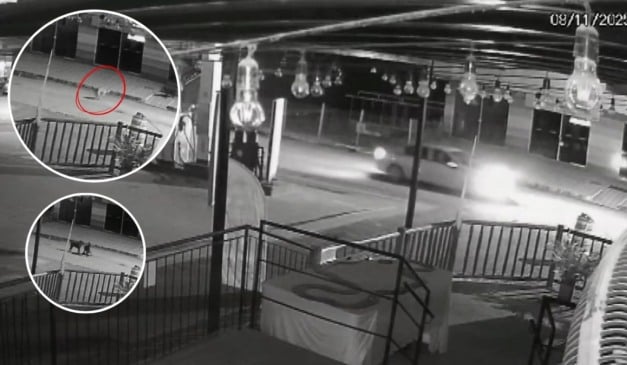 Imagem: Reprodução/TV Vitória