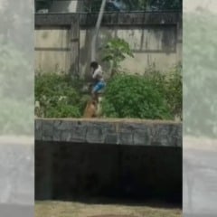 Foto: Reprodução/redes sociais.