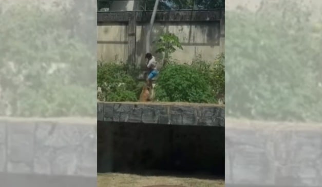 Foto: Reprodução/redes sociais.