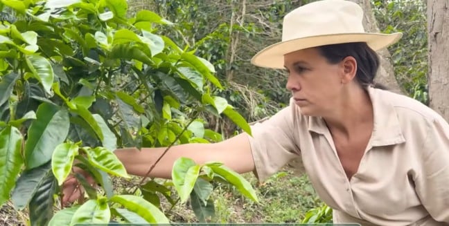 Valquíria Andrade Amorim, produtora de cafés especiais em Irupi, no Caparaó Capixaba