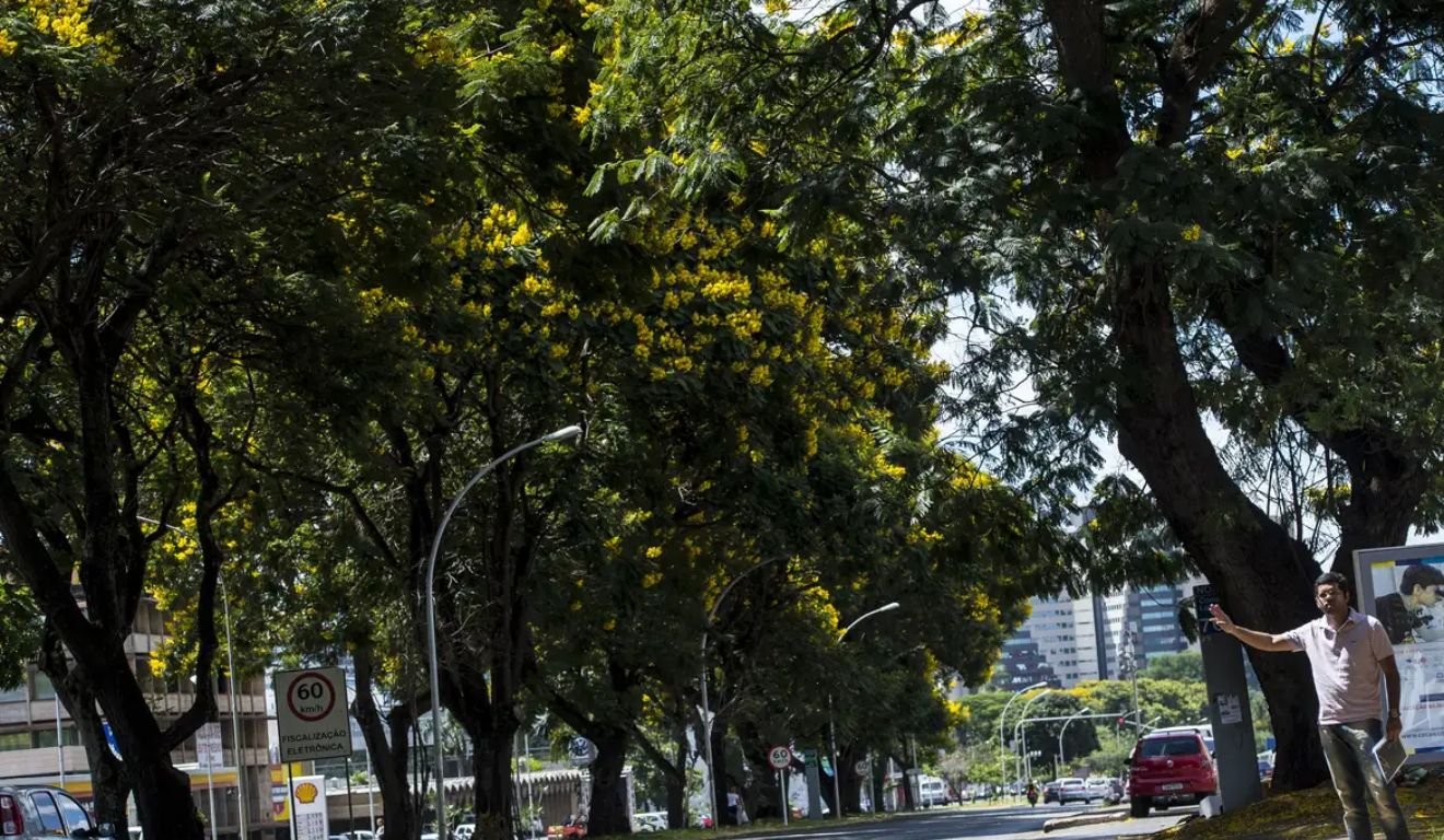 Foto: Marcelo Camargo/Agência Brasil
Foto: Marcelo Camargo/Agência Brasil