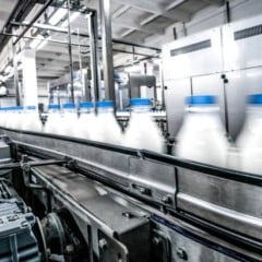 Espírito Santo avança para zerar ICMS e ampliar a competitividade da indústria de laticínios 