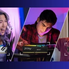 Black Friday Kingston