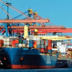 Maior empresa do estado, Comexport lança fintech e pretende movimentar R$ 5 bilhões por mês em câmbio