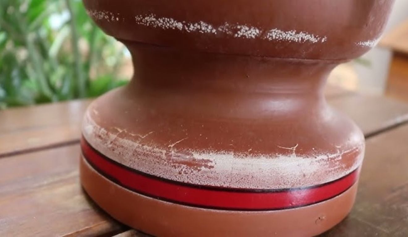 Foto: Reprodução Pinterest/Youtube