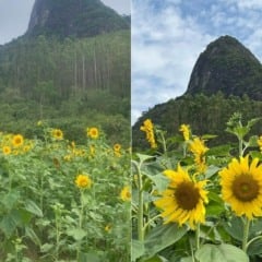 (Foto: Florada Café/Divulgação)