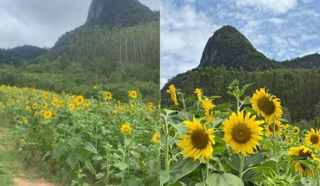 (Foto: Florada Café/Divulgação)