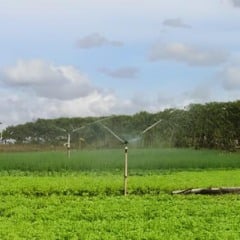 Produtores rurais terão isenção na cobrança pelo uso da água no Espírito Santo