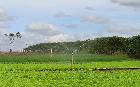 Produtores rurais terão isenção na cobrança pelo uso da água no Espírito Santo Produtores rurais terão isenção na cobrança pelo uso da água no Espírito Santo