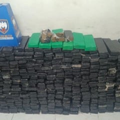 maconha apreendida ilha das caieiras