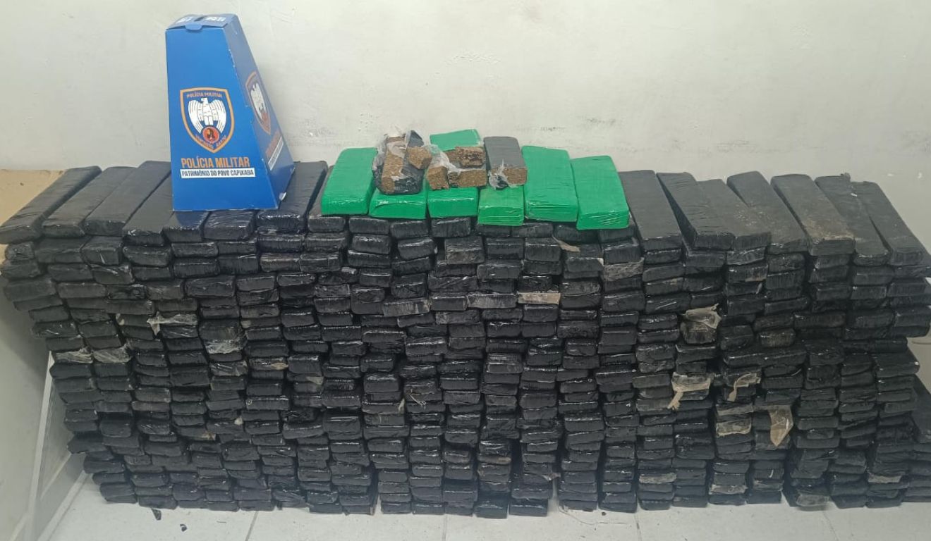 maconha apreendida ilha das caieiras