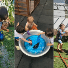 Foto: Reprodução / Moinho de Invento