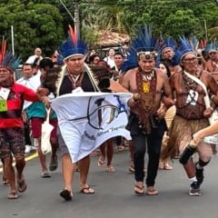 Demarcação avança na COP 30 e povos indígenas reforçam alerta global