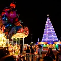 Decoração de Natal da Praça do Papa de 2024 (Foto: Jansen Lube/PMV)