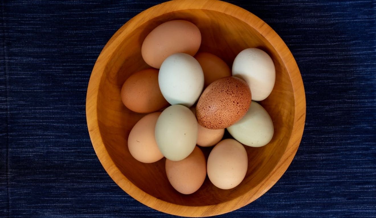 Foto: Canva Foto: Canva