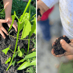 Foto: Reprodução / Escola Uirandê