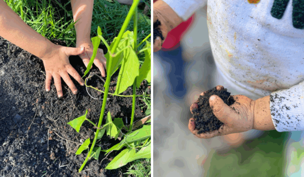 Foto: Reprodução / Escola Uirandê