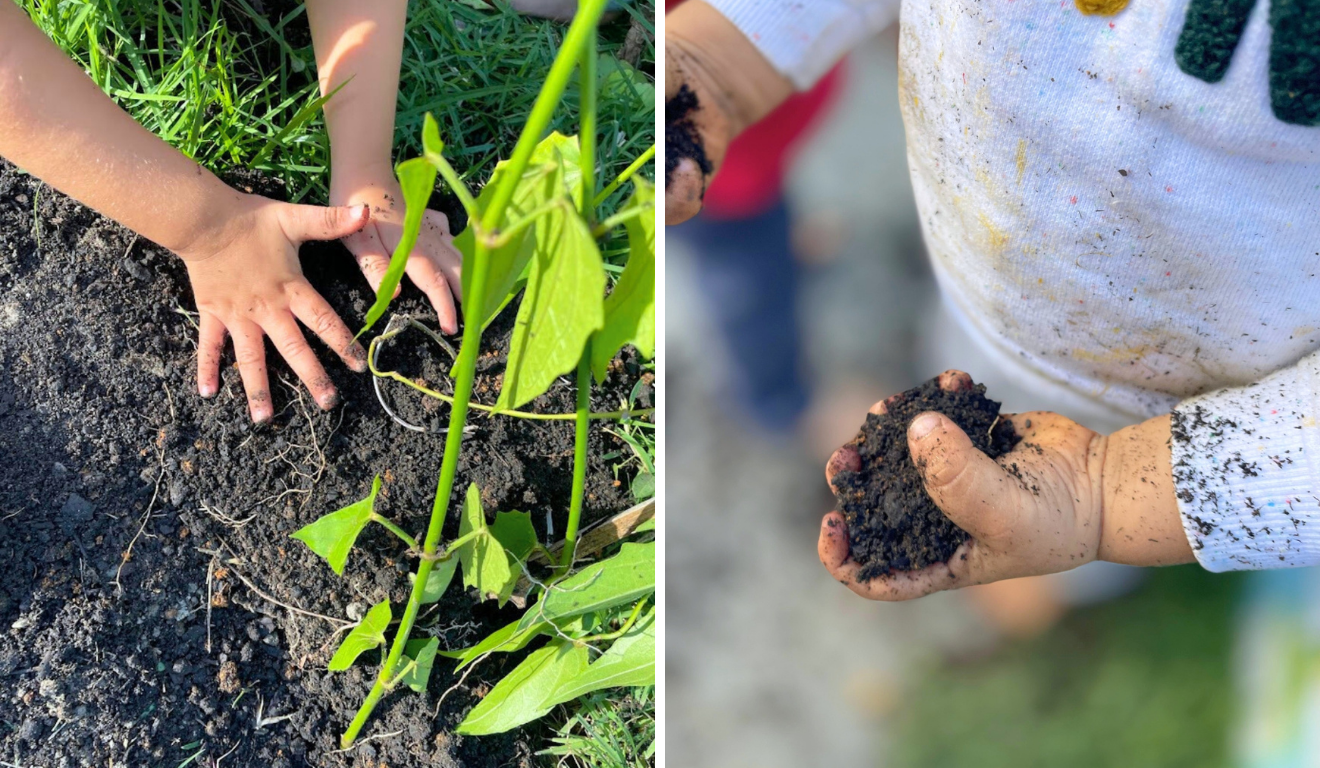 Foto: Reprodução / Escola Uirandê Foto: Reprodução / Escola Uirandê