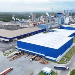 Fábrica de R$ 650 milhões da Suzano começa a operar em Aracruz