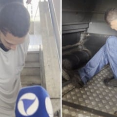 Thierry da Cruz Ribeiro