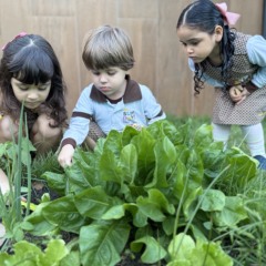 Como a educação na primeira infância molda o cérebro e impacta o futuro da criança