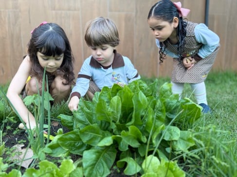 Como a educação na primeira infância molda o cérebro e impacta o futuro da criança