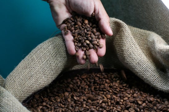 Coffee of the Year (COY), durante a Semana Internacional do Café 2025