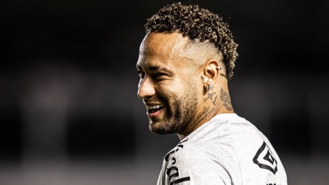 BRASILEIRÃO - Santos x Sport - Estádio Urbano Caldeira (28/11/2025) - Fotos: Raul Baretta/ Santos FC.