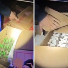 Foto: Reprodução/TV Vitória