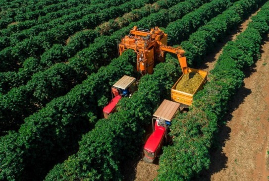 Espírito Santo impulsionado pelo agronegócio