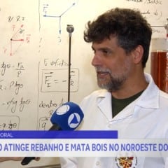 Raio mata 29 cabeças de gado e causa prejuízo de R$ 100 mil