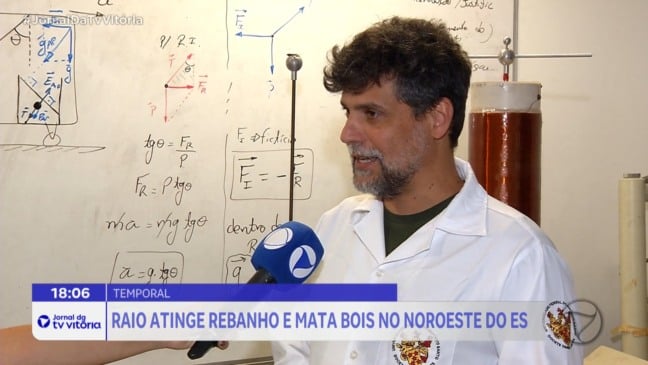 Raio mata 29 cabeças de gado e causa prejuízo de R$ 100 mil