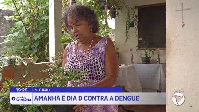 Sábado é 'Dia D' de combate à dengue no Espírito Santo