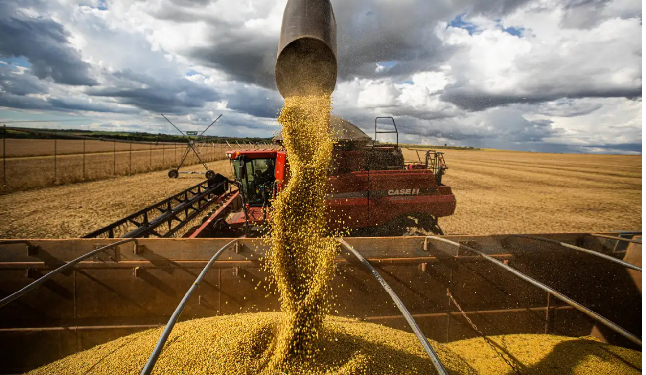Para 2026, a estimativa é que a lavoura de soja cresça no máximo 1%. Foto: CNA/Wenderson Araujo/Trilux Para 2026, a estimativa é que a lavoura de soja cresça no máximo 1%. Foto: CNA/Wenderson Araujo/Trilux
