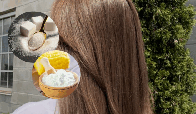 Fotos: Reprodução / internet