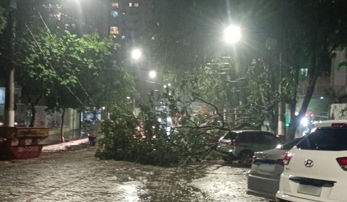Árvore cai e derruba poste durante tempestade em Vitória