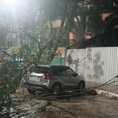 Árvore cai e derruba poste durante tempestade em Vitória