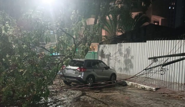 Árvore cai e derruba poste durante tempestade em Vitória