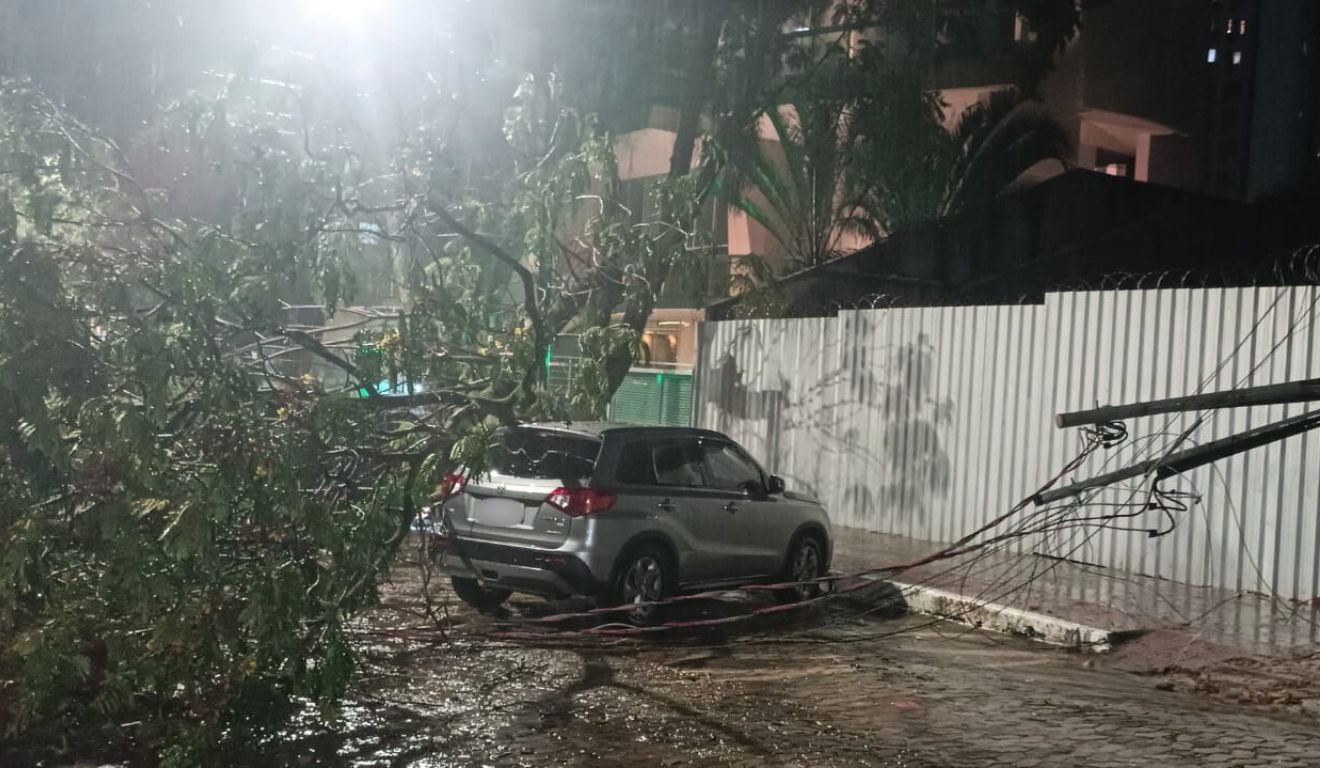 Árvore cai e derruba poste durante tempestade em Vitória