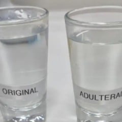 Imagem: UFPR/Divulgação