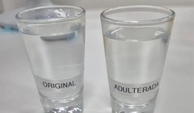 Imagem: UFPR/Divulgação