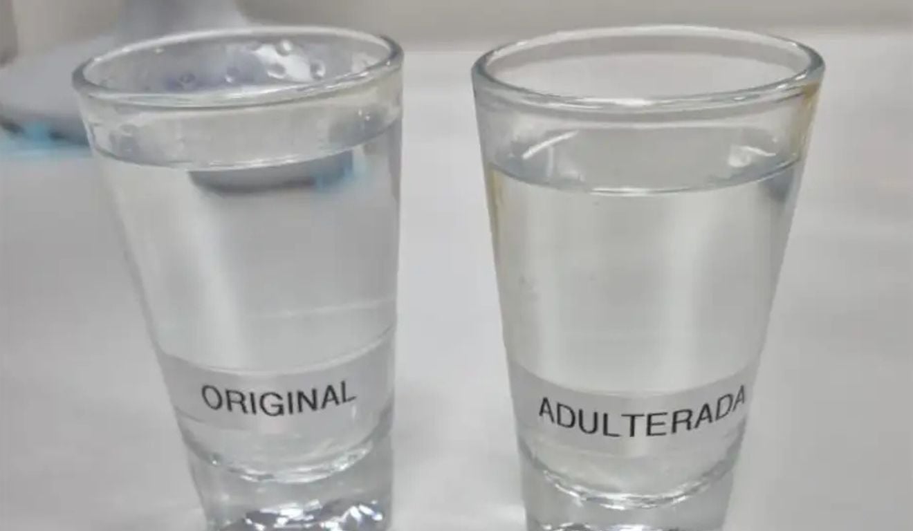 Imagem: UFPR/Divulgação Imagem: UFPR/Divulgação