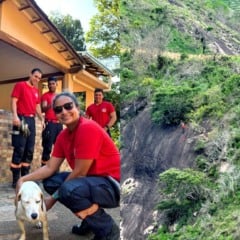 Cadela Mel resgatada após passar cinco dias presa em montanha